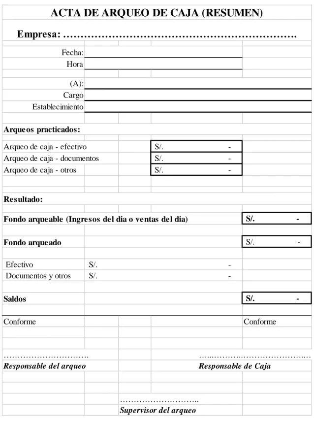Figura 4. Acta de arqueo de caja (resumen) 