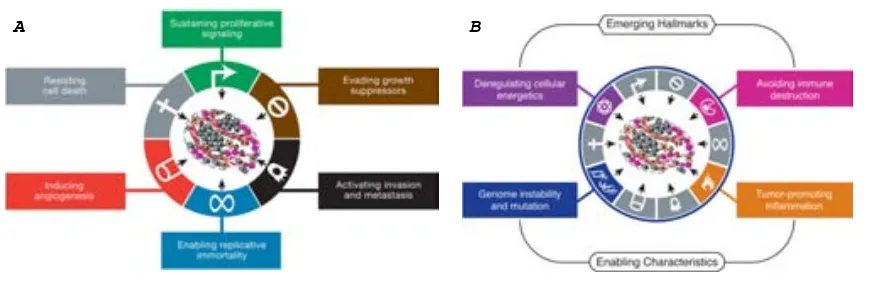 Figure 1. The Hallmarks of CancerB�