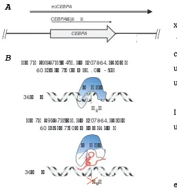 Figure 50.01