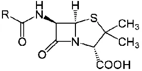 Fig. 3. Penicillin core structure. 