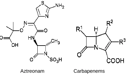 Fig. 5. Chemical structure of aztreonam and carbapenems.  