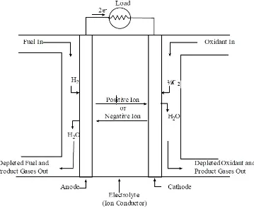 Figure 1.2: Schematic of an Individual Fuel Cell.