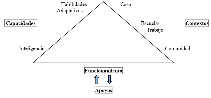Figura 1. Estructura general de la definición de Retraso Mental (Luckasson et al., 1992) 