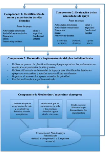 Figura 9. Componentes del proceso de evaluación y planificación de las necesidades de apoyo 