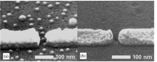 Fig. 2. (a) SEM image of typical samples fabricated on a wafer without a GaAs capping layer and (b) with a capping layer