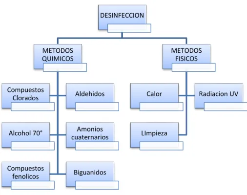 Figura 2. Métodos de Desinfección 