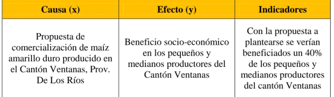 Tabla No. 4  Variables 