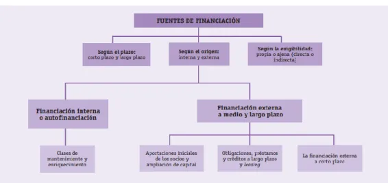 Figura 6 Fuentes de Financiación 
