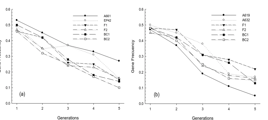 Figure 1. Change of gene frequency across five selfing generations of crosses between the su1 inbred P39 and six basic generations (P1, P2, F1, F2, BC1, and BC2) derived from crosses between two pairs of field maize inbred lines: (a) First design, (b) Seco