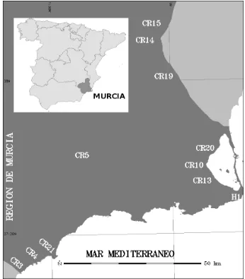 Figura 1.1: Localización de los humedales de estudio en la Región de Murcia (SEEspaña)