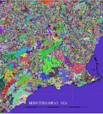 Figure 2.4: Automated landscape patches map obtained with SPRING software.Different colors represent different landscape patches.