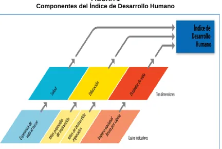 FIGURA 1 Componentes del Índice de Desarrollo Humano 