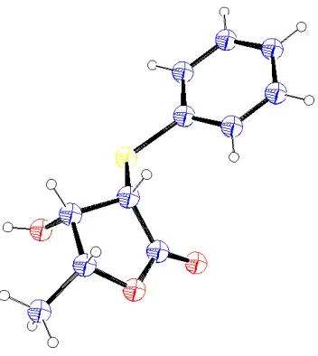Figura 3 