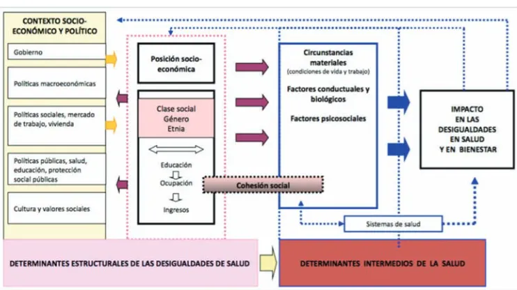 Figura 6. Marco conceptual de los determinantes sociales de la salud.