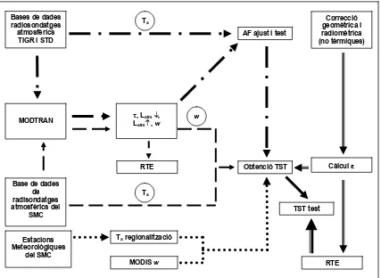 Figura 3.1. Diagrama de flux de les metodologies usades per generar els models d’obtenció de la TST i del seu test