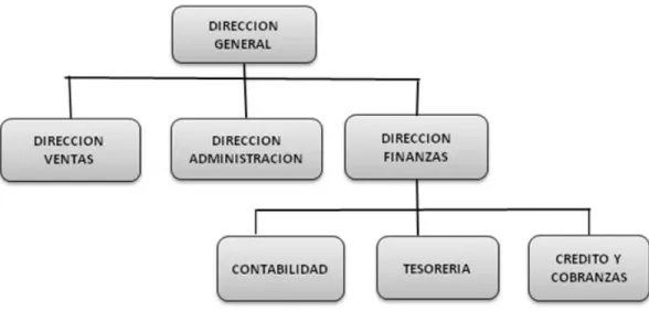 GRÁFICO 8  Organigrama general 