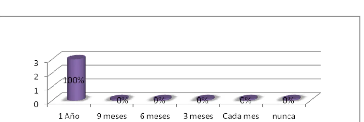 Gráfico No 1 