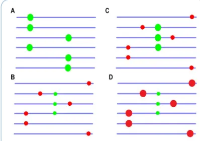 Figura 1.5  Escenarios efecto Hill-Robertson. Los cromosomas están representados como barras horizontales