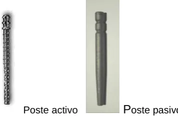 Figura 3. Poste con morfología longitudinal combinada. 