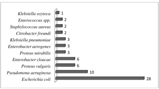 Tabla 2. Bacterias aeróbicas aisladas de pacientes con cateterismo vesical a largo  plazo en el HNSR