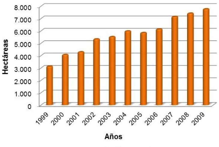 Fig. 7: Evolución de la producción (tm) de nuez en España. MAGRAMA (2012). 