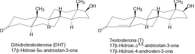 Figura 1.1 Estructures químiques de la testosterona i dihidrotestosterona on s’observa l’estereoquímica de les molècules
