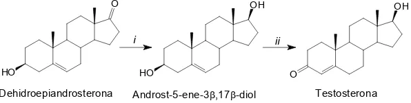 Figura 1.2 Primera síntesi parcial de la testosterona a partir de la d’Oppenauer).dehidroepiandrosterona