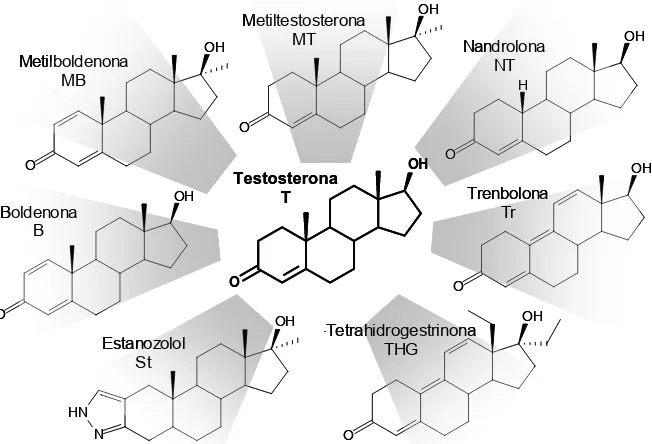 Figura 1.3 Estructures químiques de la testosterona i dels anàlegs sintètics més rellevants