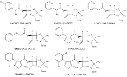 Fig 2.4. Estructura de les penicil·lines més utilitzades en veterinària. 