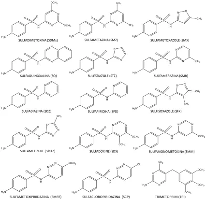 Fig 2.8. Estructura d’algunes de les sulfamides utilitzades en veterinària. 