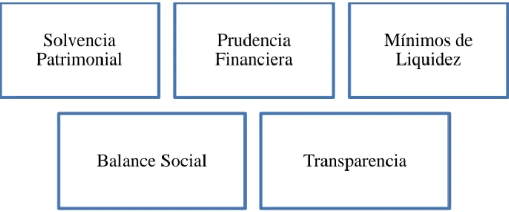 Figura 2. Enfoque de solvencia financiera. 