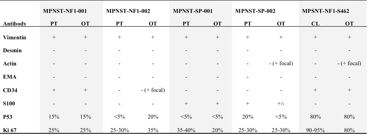 Table II. Immunohistochemical characterization of human tumors and their first derived xenograft mouse models