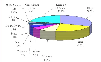 Figura 3. Producció mundial d’arròs (mitjana de 1999 a 2003) Font: UNCTAD  segons dades estadístiques de L’Organizació de les Nacions Unides per a l’Agricultura i l’Alimentació