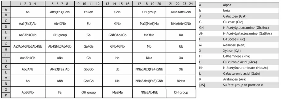 Figura 54. Esquema de la placa de Glycominds utilitzada per als estudis de glicoxip. 