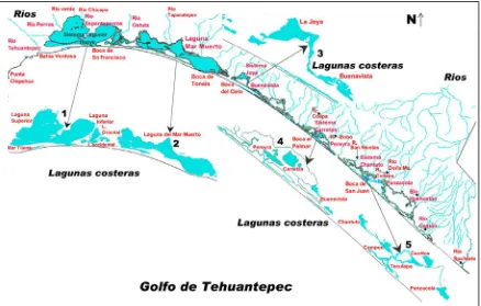 Fig. 2. Mapa hidrológico del área de estudio. Se resaltan principalmente los sistemas lagunares y ríos que                       desembocan a lagunas, estuarios y al golfo de Tehuantepec