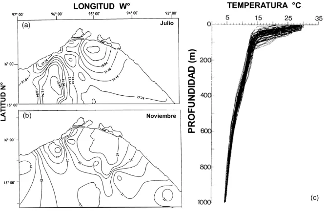 Fig. 11. Variación de la temperatura superficial en las campañas oceanográficas Julio 1992(a) y noviembre 1989 (b)