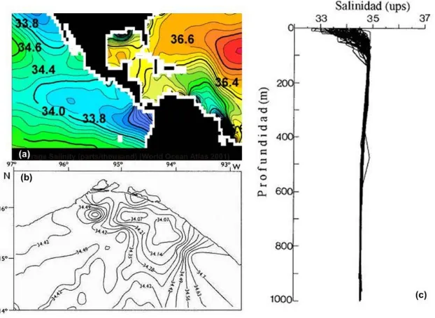 Fig. 12. Distribución de la salinidad superficial en el Océano Pacífico, variación de la salinidad durante noviembre de 1989 (a) y (b)