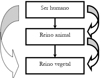 Figura II. Proyecciones entre dominios en las que el cuerpo humano y animal son dominio origen  