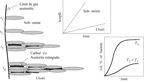 Figura 2. Evolució d’una placa o llistó bainítica en funció del temps [7] 