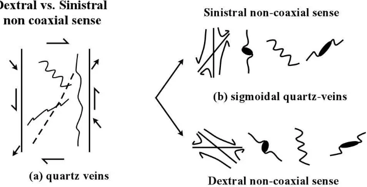 Fig. 8.2 Anàlisi qualitatiu del grau de no coaxilitat. (a) Esquema sintètic amb la variació de les geometries configuracions a partir d’una condició senestral no coaxial paral·lela a la S0/1 i dextral no coaxial amb límits de banda E-W