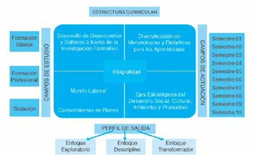 Figura 1. Estructura Curricular del rediseño de la carrera de Administración de Empresas.