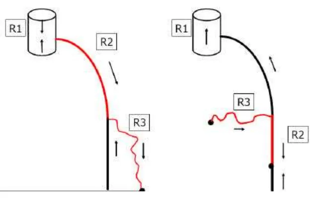 Figura 4.3. Punt de fuita a crossa de la safena (R1>R2>R3) i a perineal (R1>R3>R2)  amb reentrada R3>R1 i R2>R1.