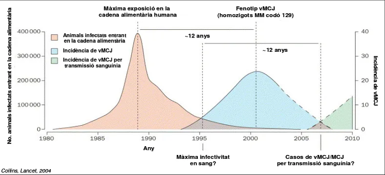 Fig. 1.2. Evolució de la vMCJ al llarg del temps d’acord amb l’entrada d’animals infectats 