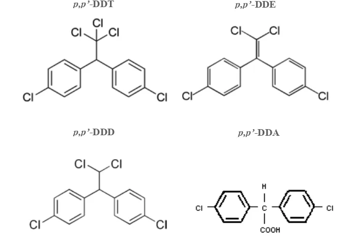 Figura 1.15. Estructura del p,p’-DDT i els seus metabòlits p,p’-DDE, 