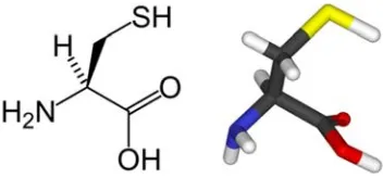 Figura 10. Estructura de l’aminoàcid cisteïna. 