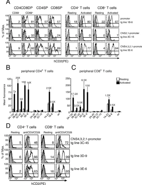 Figure 5. Reporter expression in thymocytes and peripheral T cells of transgenic 