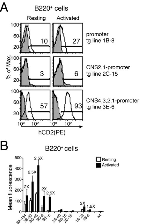 Figure 6. Reporter expression in resting and activated peripheral B cells of Analyses of control non-transgenic mice are also shown (shaded histograms)