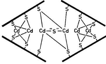 Fig. 30- Estructura del cluster metàl·lic de laferredoxina. Extret de (Bertini et al., 1995).