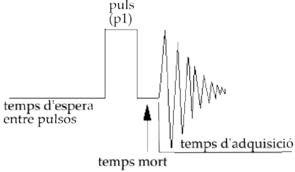 Figura 1.4: Exemple del què seria la seqüència d’RMN monodimensional més sen-zilla.