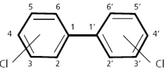 Figura 3. Estructura dels bifenils policlorats (PCBs). 